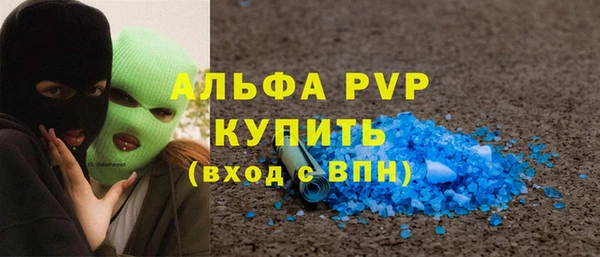 прущие грибы Белокуриха